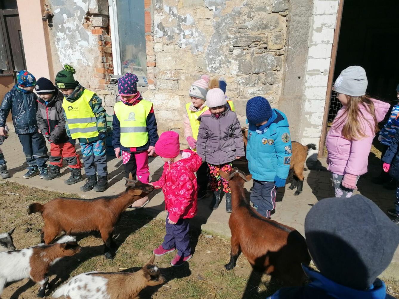 "Máme rádi zvířata" aneb "vycházky za zvířátky" :-) - 10