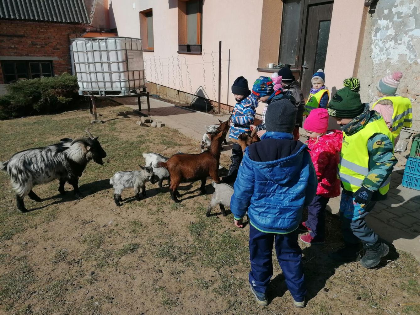 "Máme rádi zvířata" aneb "vycházky za zvířátky" :-) - 11