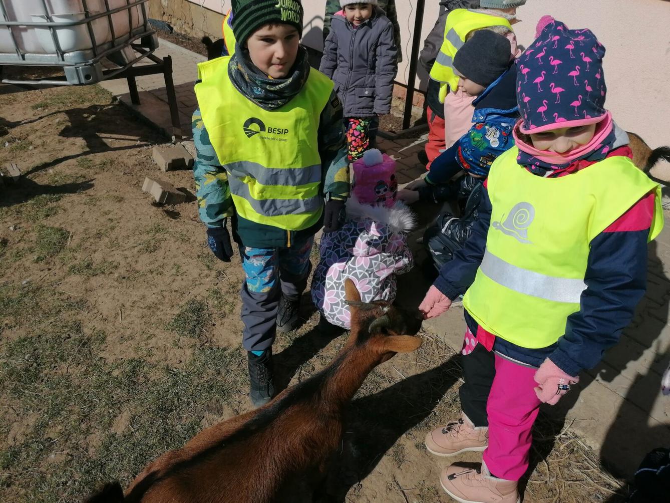 "Máme rádi zvířata" aneb "vycházky za zvířátky" :-) - 12
