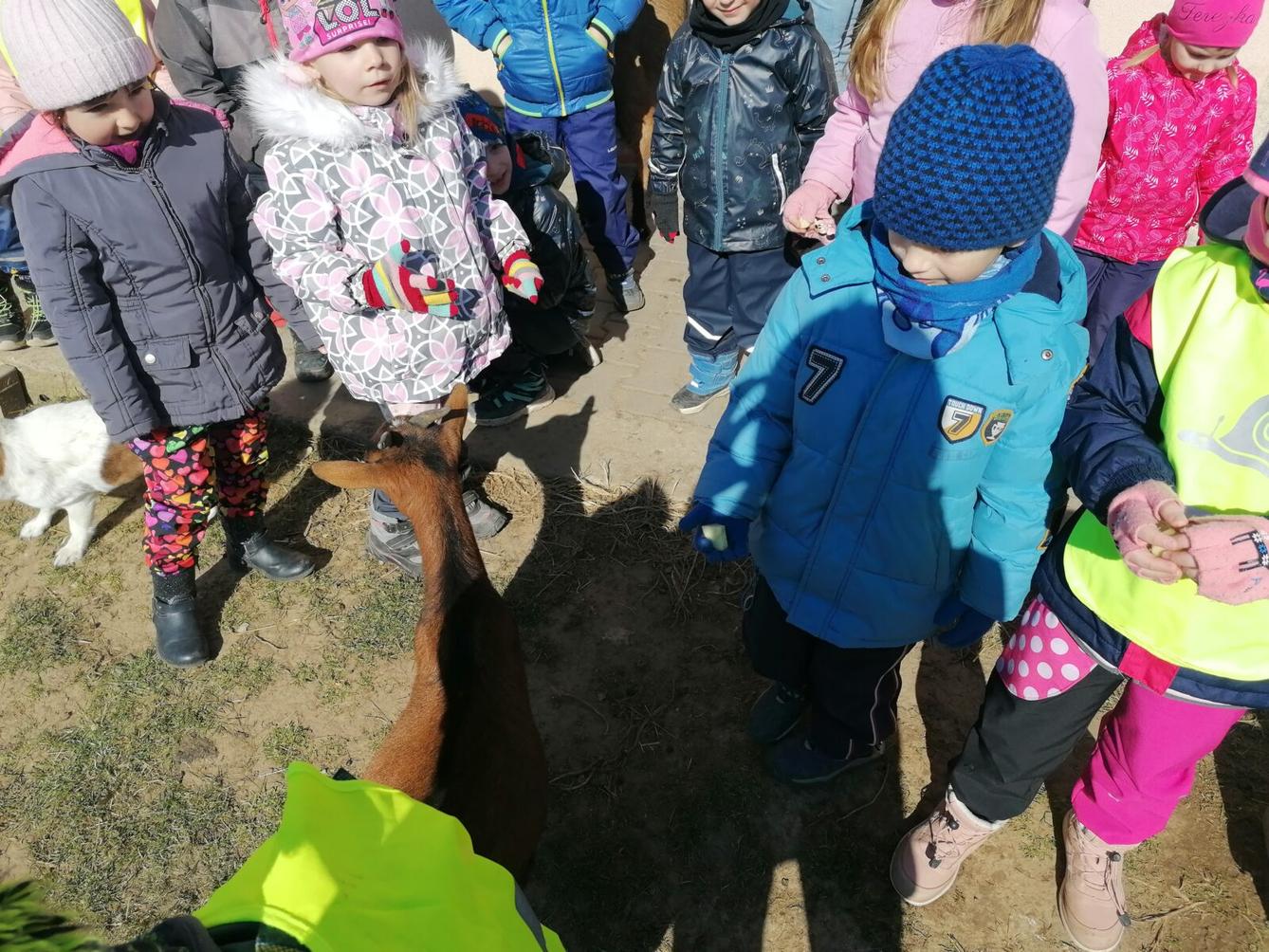 "Máme rádi zvířata" aneb "vycházky za zvířátky" :-) - 13