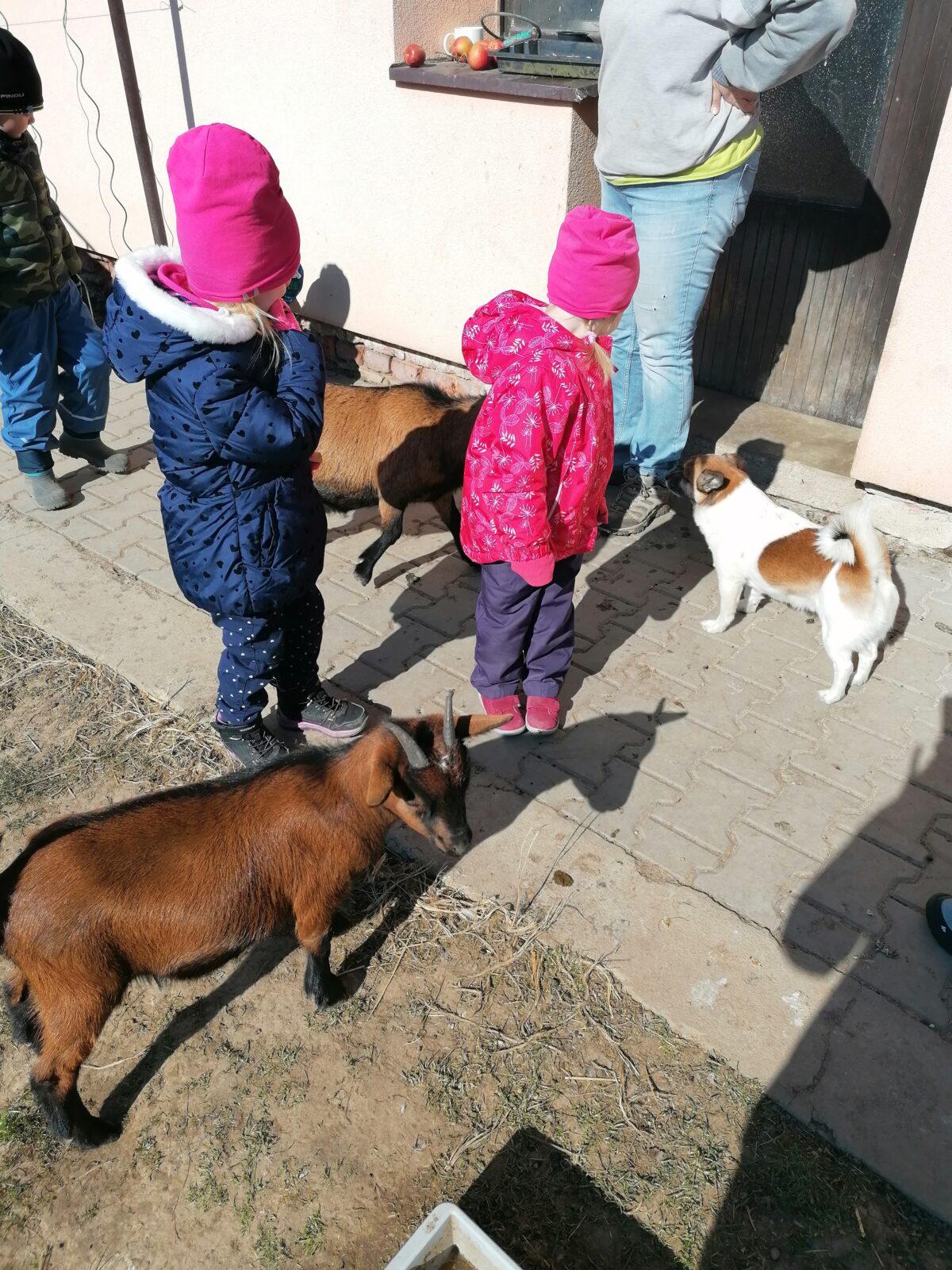 "Máme rádi zvířata" aneb "vycházky za zvířátky" :-) - 17