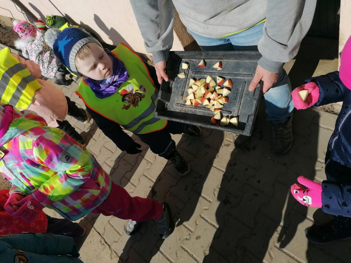 "Máme rádi zvířata" aneb "vycházky za zvířátky" :-) - 18