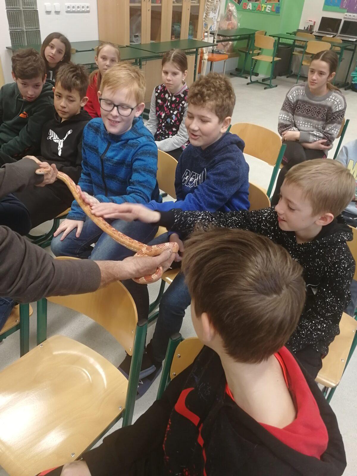 Přednáška o chovu terarijních zvířat - 17