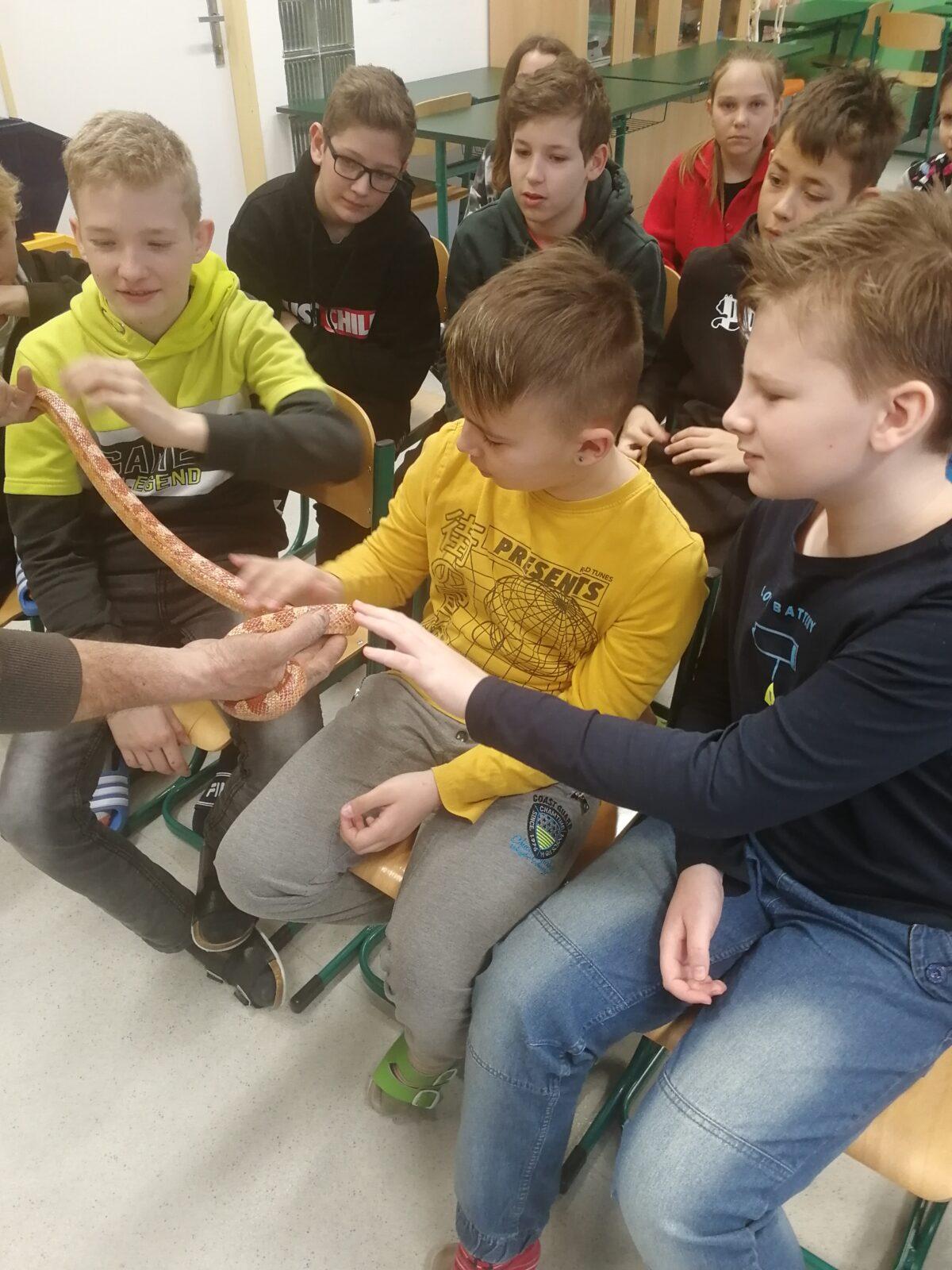 Přednáška o chovu terarijních zvířat - 18