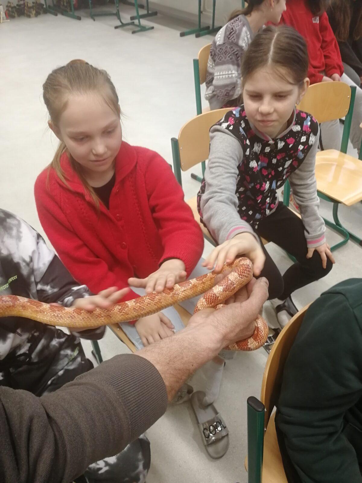 Přednáška o chovu terarijních zvířat - 20