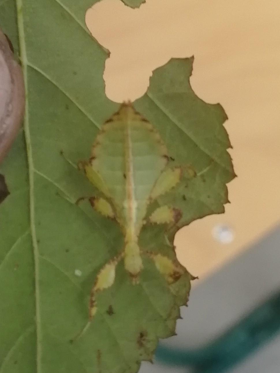 Přednáška o chovu terarijních zvířat - 21