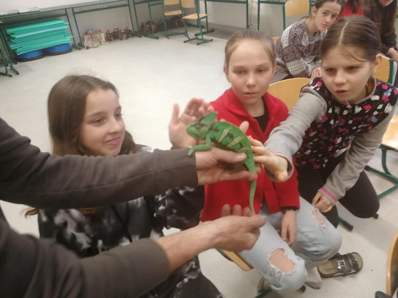 Přednáška o chovu terarijních zvířat - 25