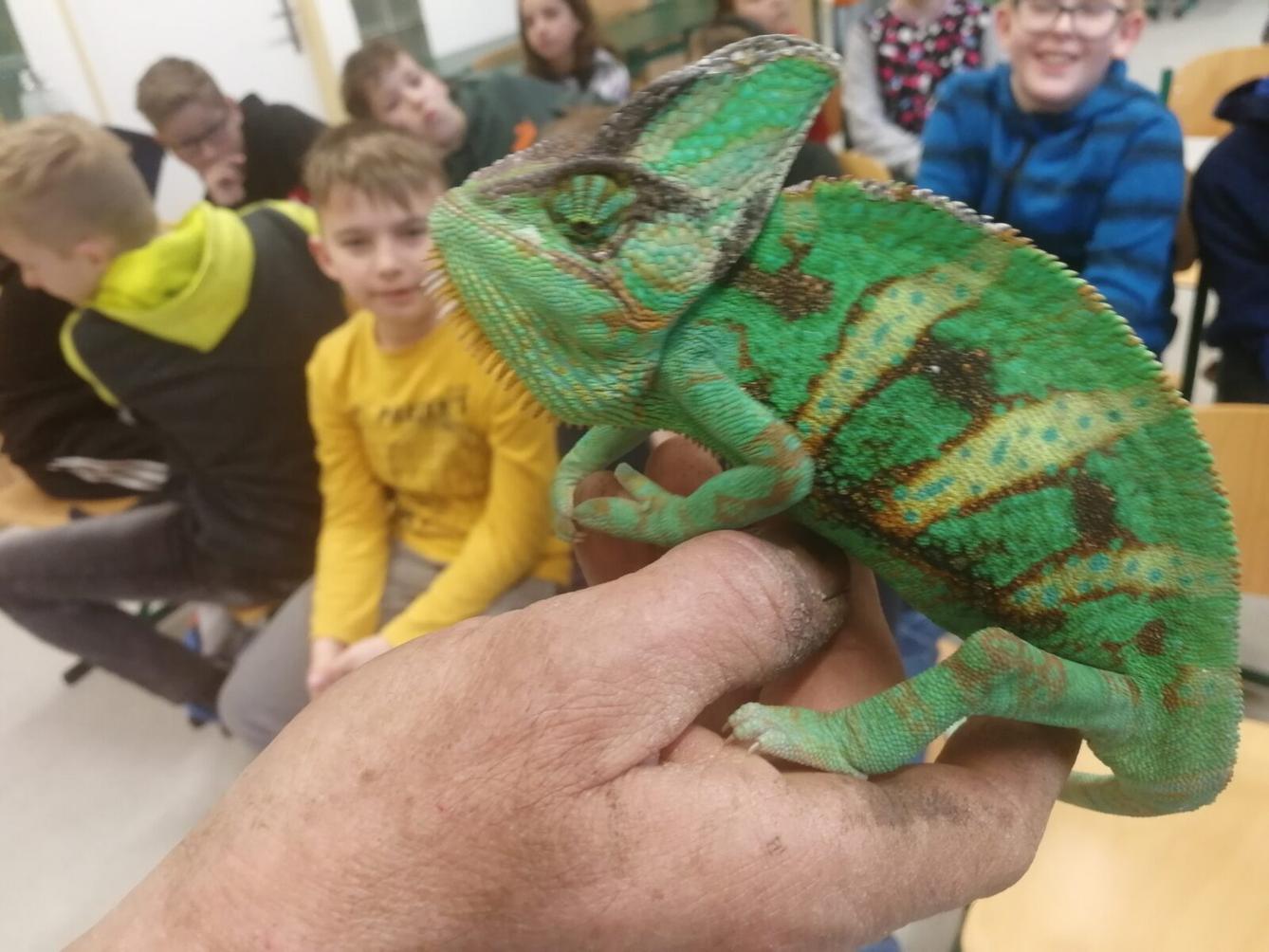 Přednáška o chovu terarijních zvířat - 27