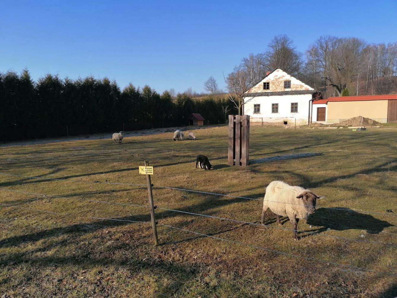 výlet na výstavu pavouků v Ústí nad Orlicí :-) - 3