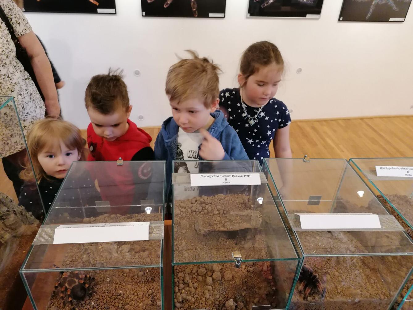 výlet na výstavu pavouků v Ústí nad Orlicí :-) - 59