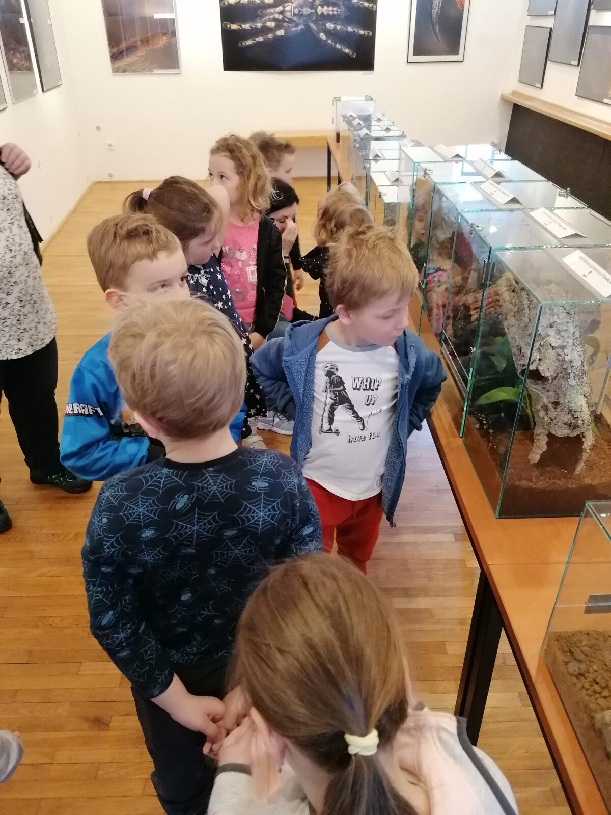 výlet na výstavu pavouků v Ústí nad Orlicí :-) - 68