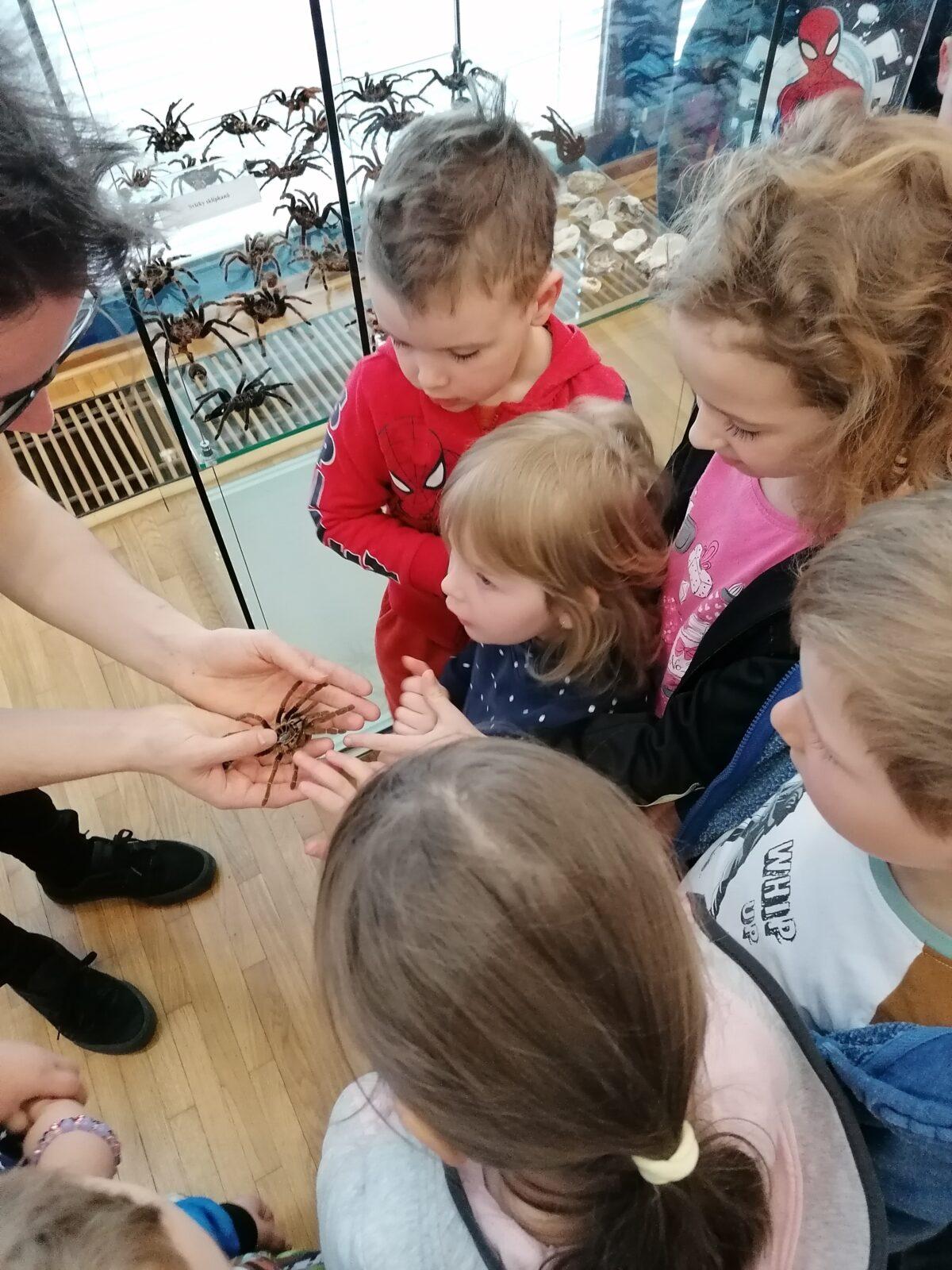 výlet na výstavu pavouků v Ústí nad Orlicí :-) - 74