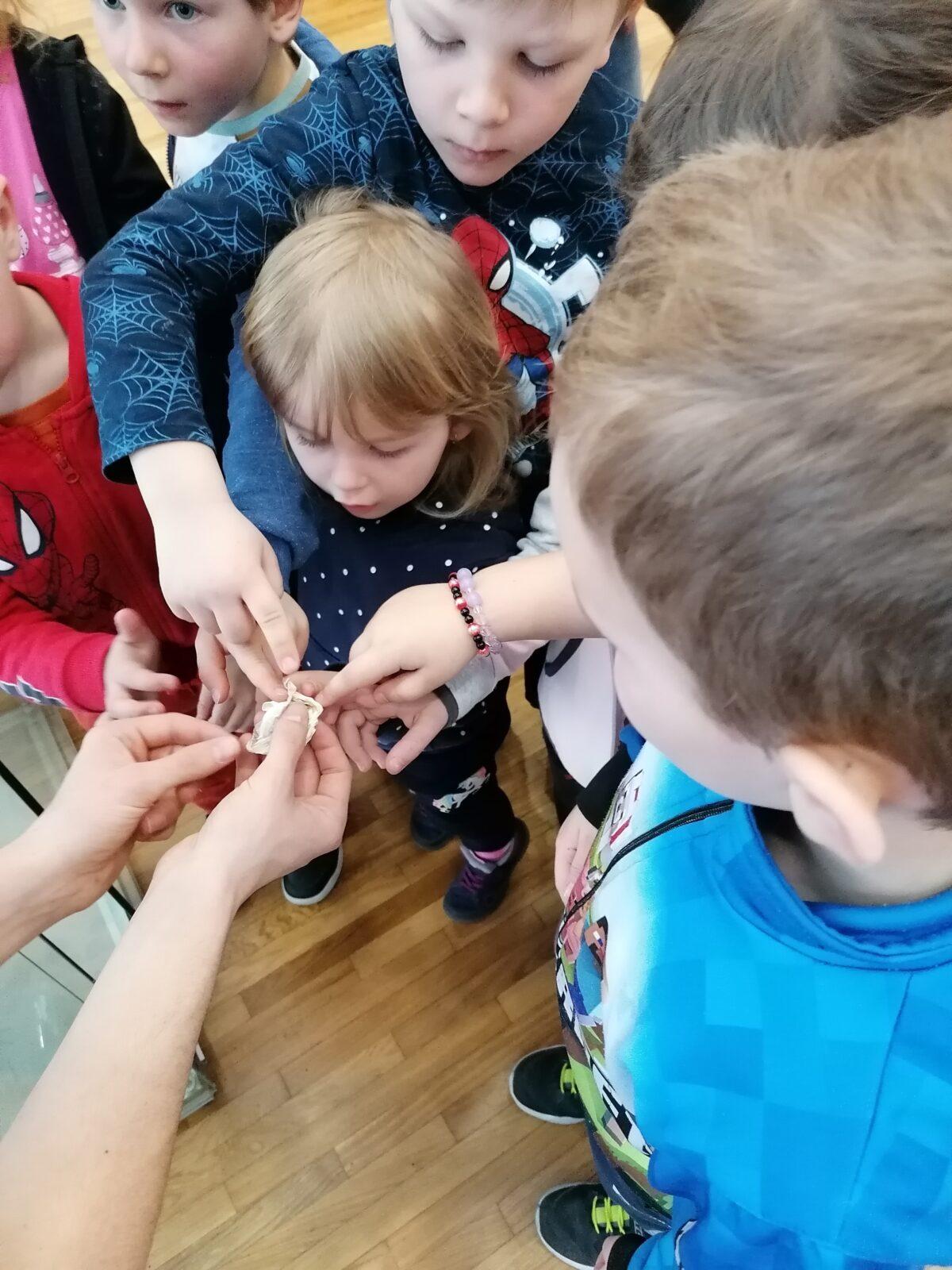 výlet na výstavu pavouků v Ústí nad Orlicí :-) - 77