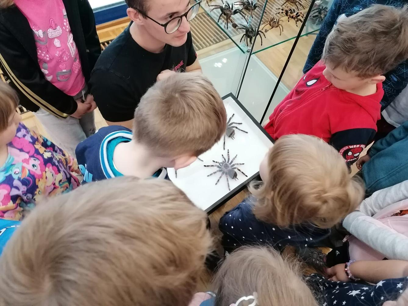 výlet na výstavu pavouků v Ústí nad Orlicí :-) - 79