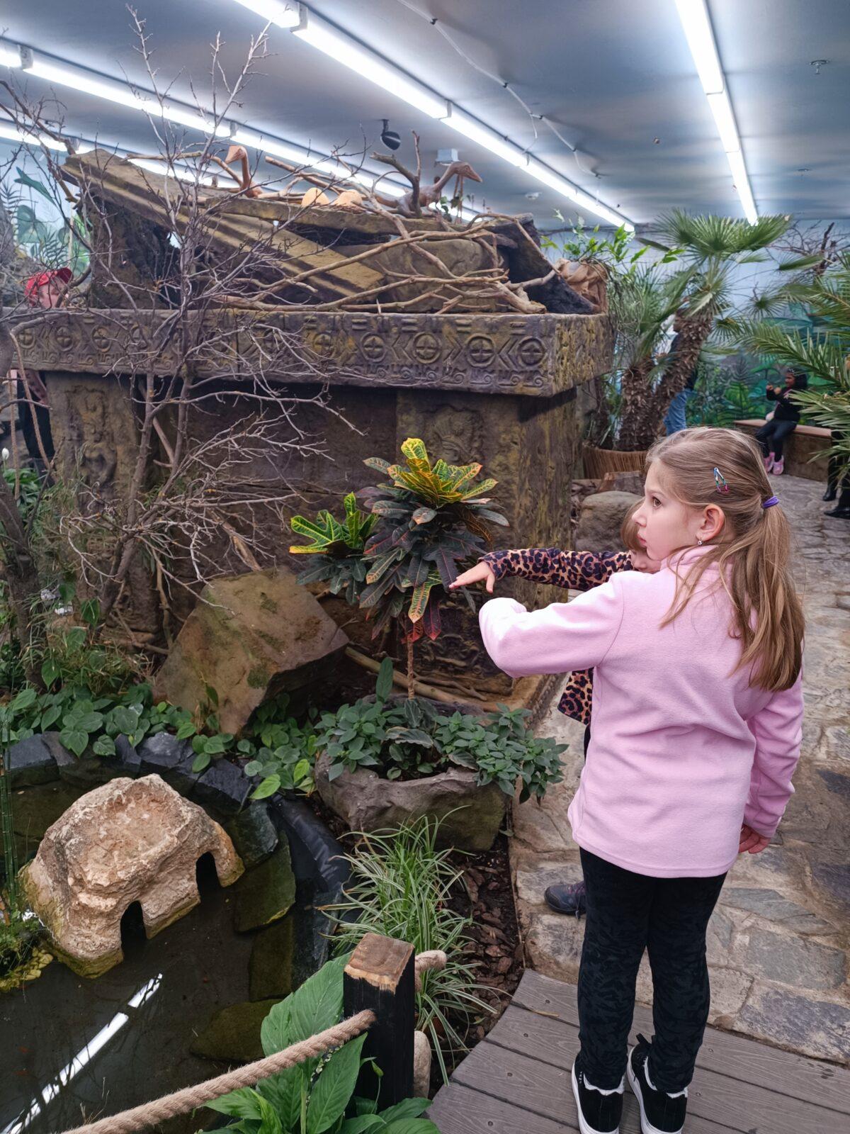 TLAPKY - 2 - motýlci a HAMELYS - 10