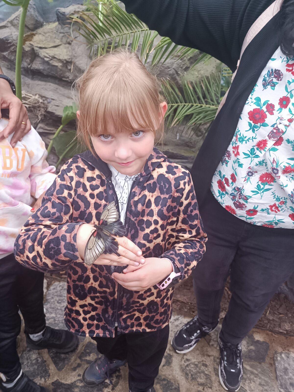 TLAPKY - 2 - motýlci a HAMELYS - 26