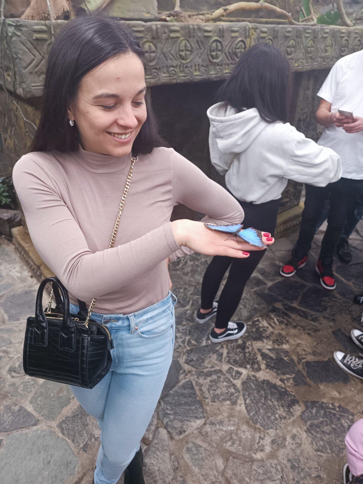 TLAPKY - 2 - motýlci a HAMELYS - 28