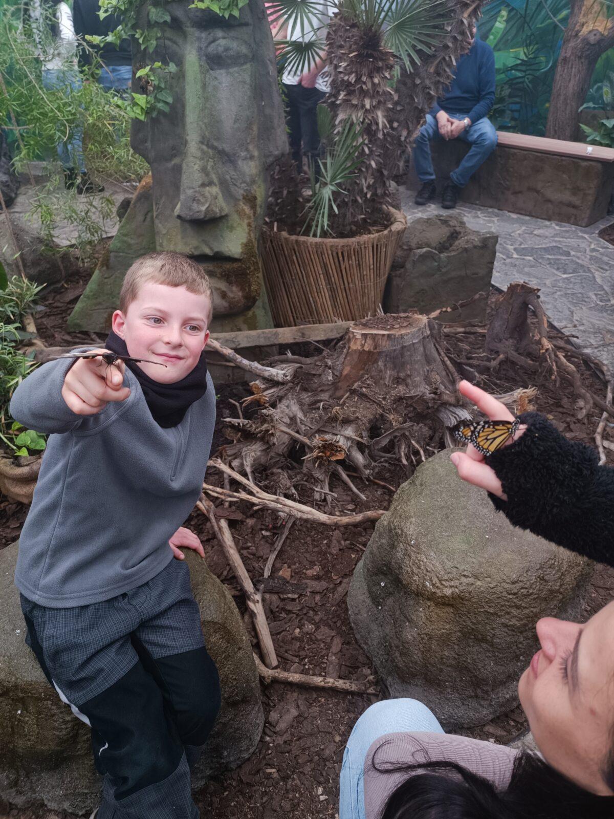 TLAPKY - 2 - motýlci a HAMELYS - 34