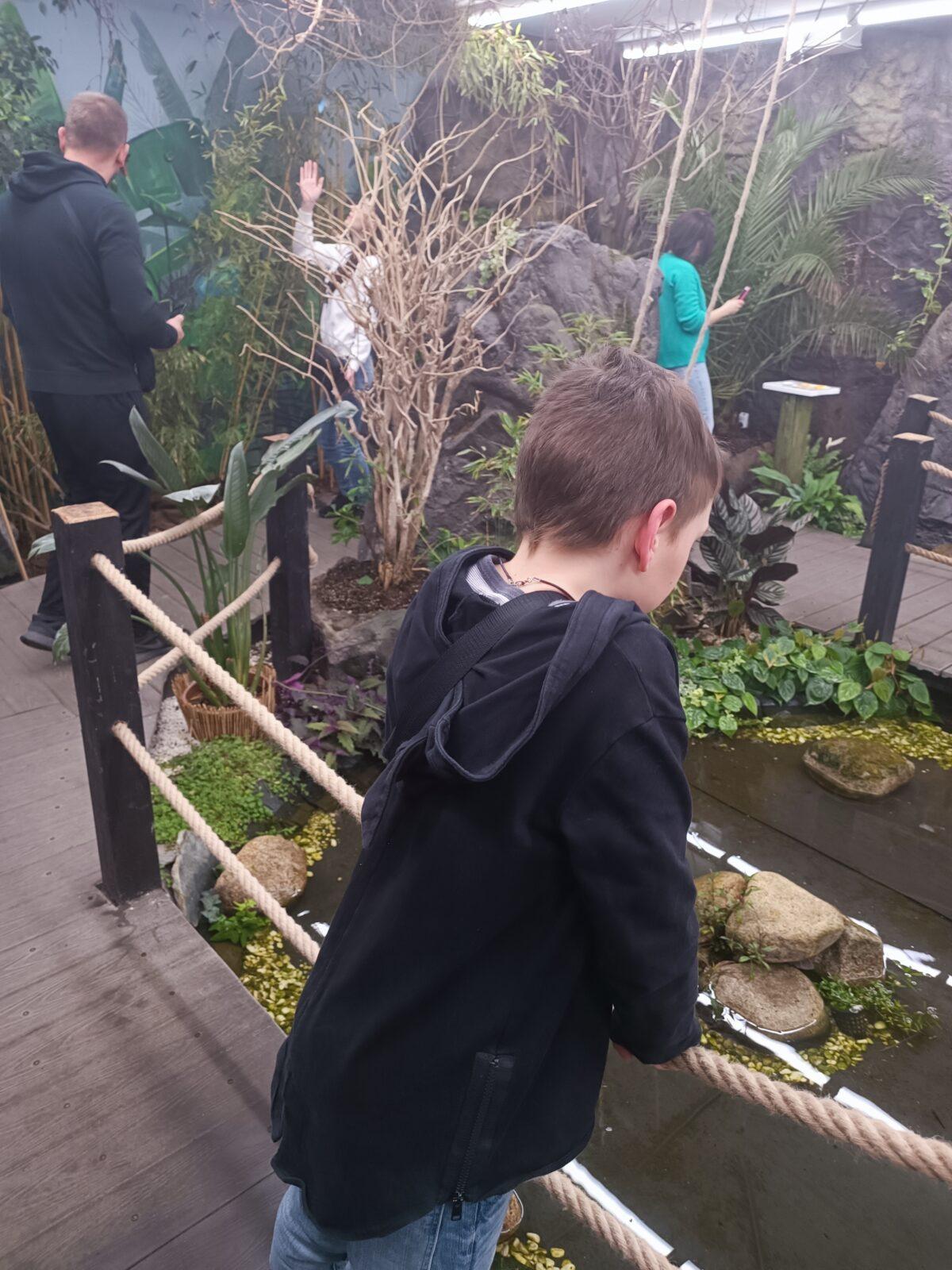 TLAPKY - 2 - motýlci a HAMELYS - 35