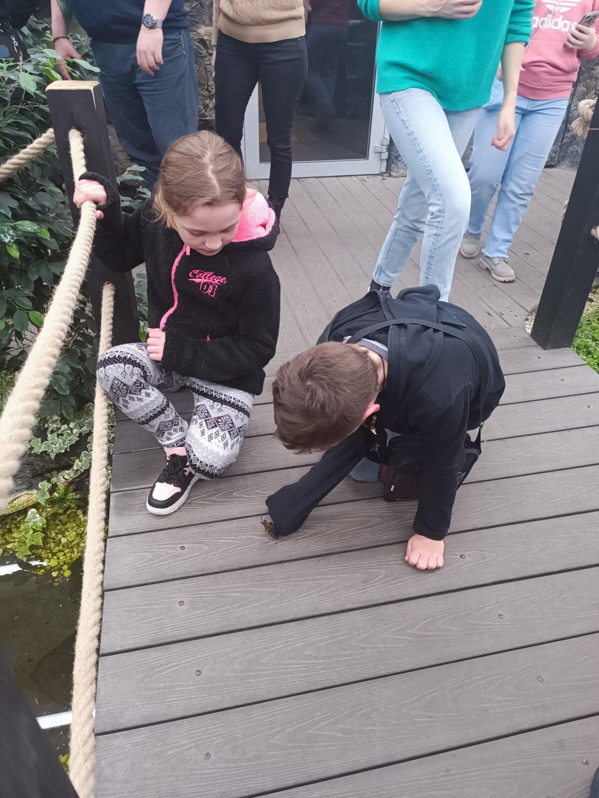 TLAPKY - 2 - motýlci a HAMELYS - 38