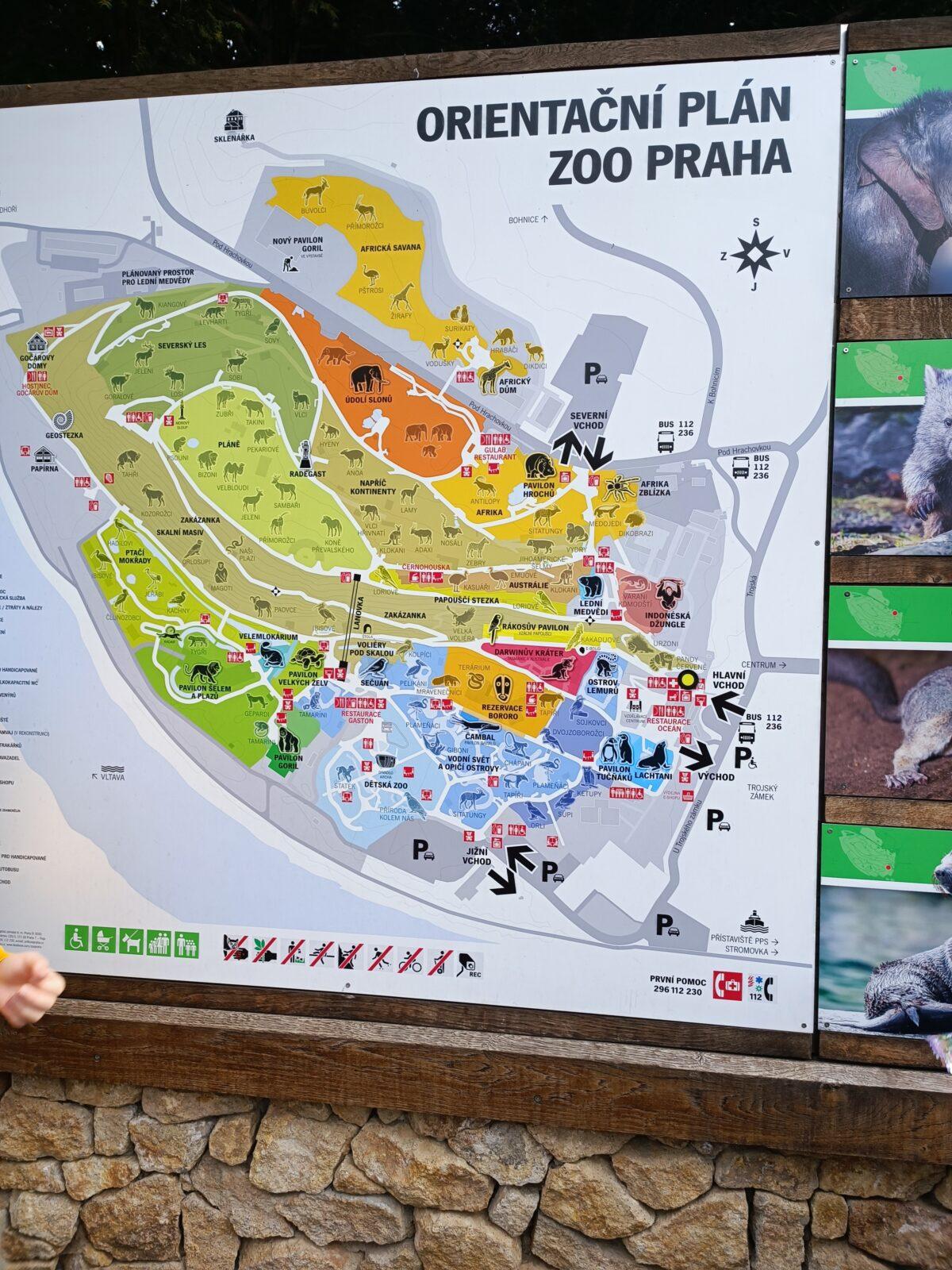 TLAPKY - Praha v ZOO - 19