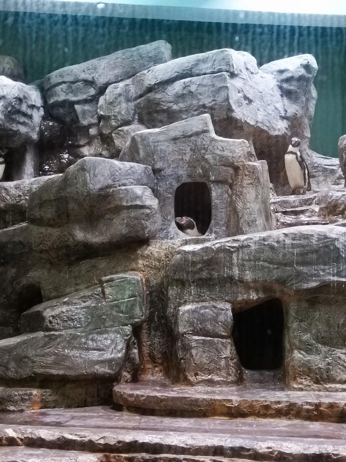 TLAPKY - Praha v ZOO - 24