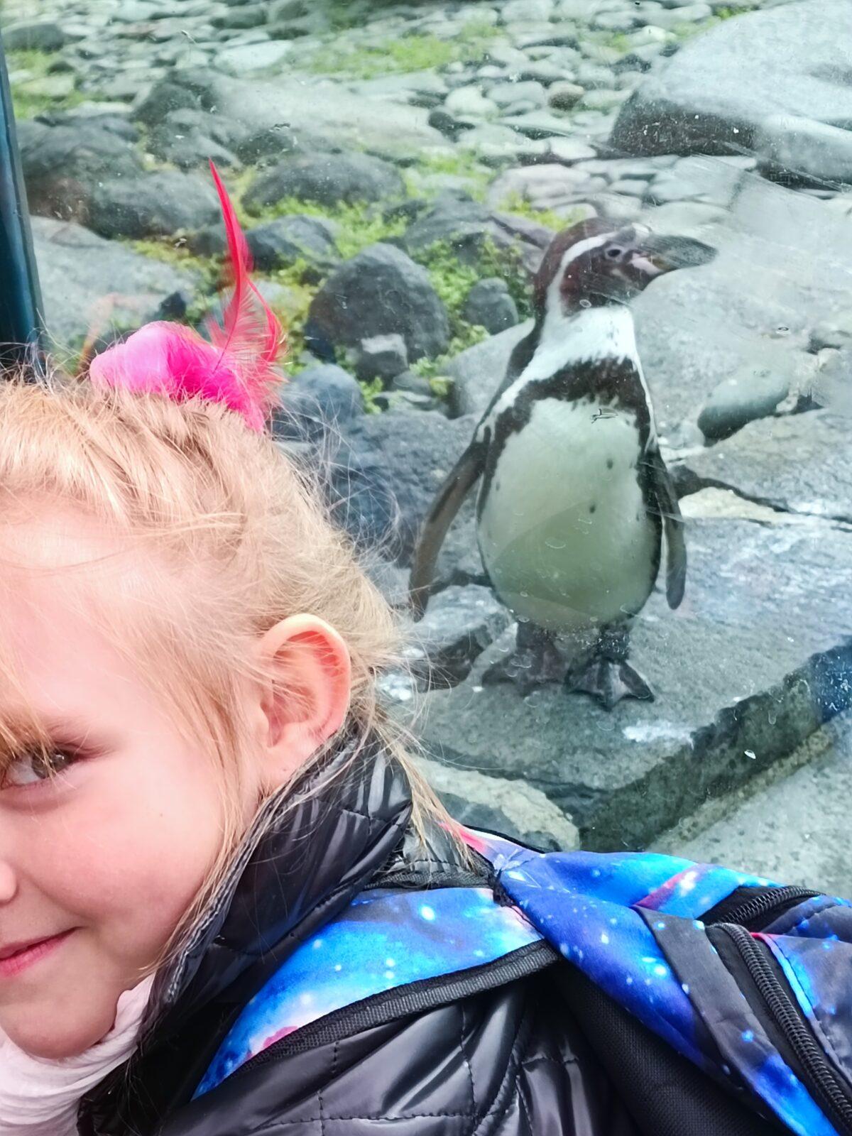 TLAPKY - Praha v ZOO - 25