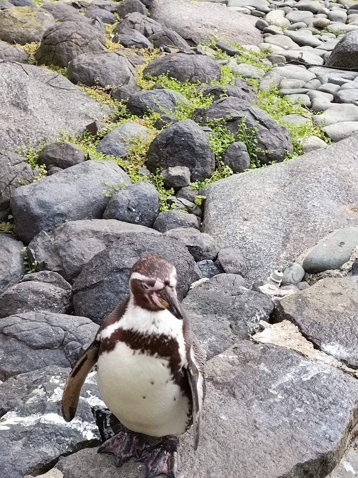 TLAPKY - Praha v ZOO - 27