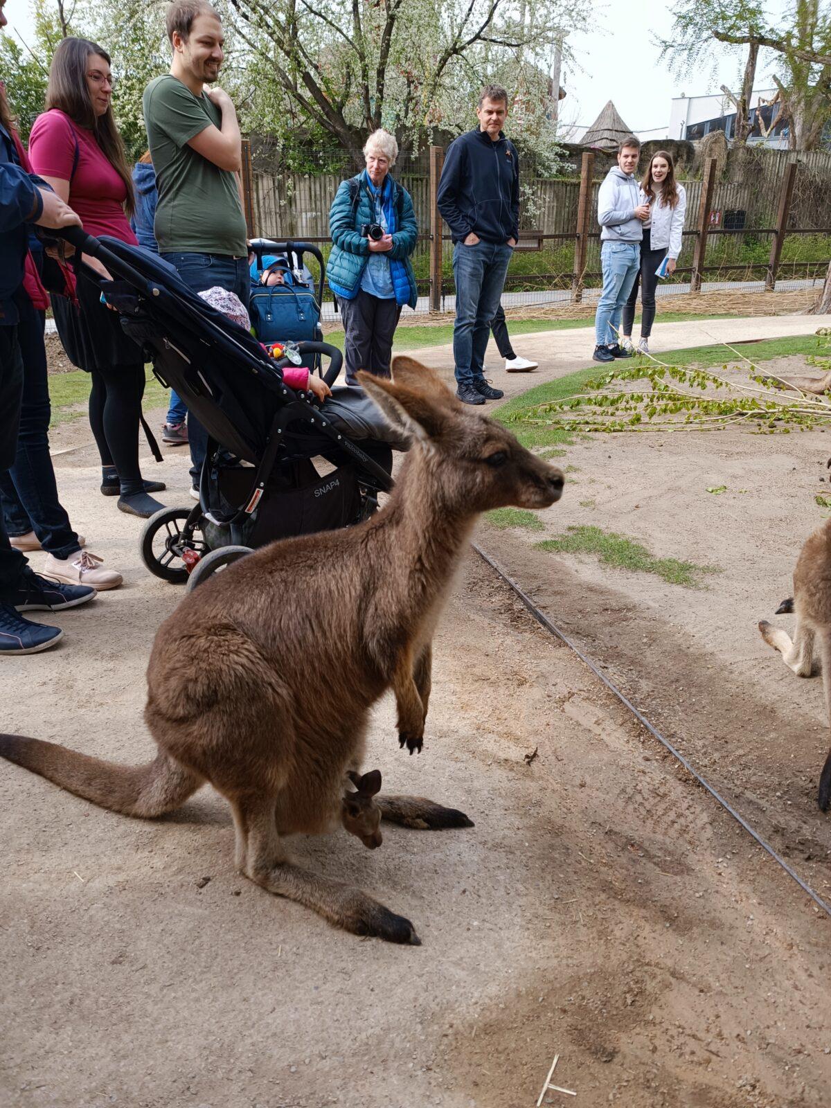 TLAPKY - Praha v ZOO - 28