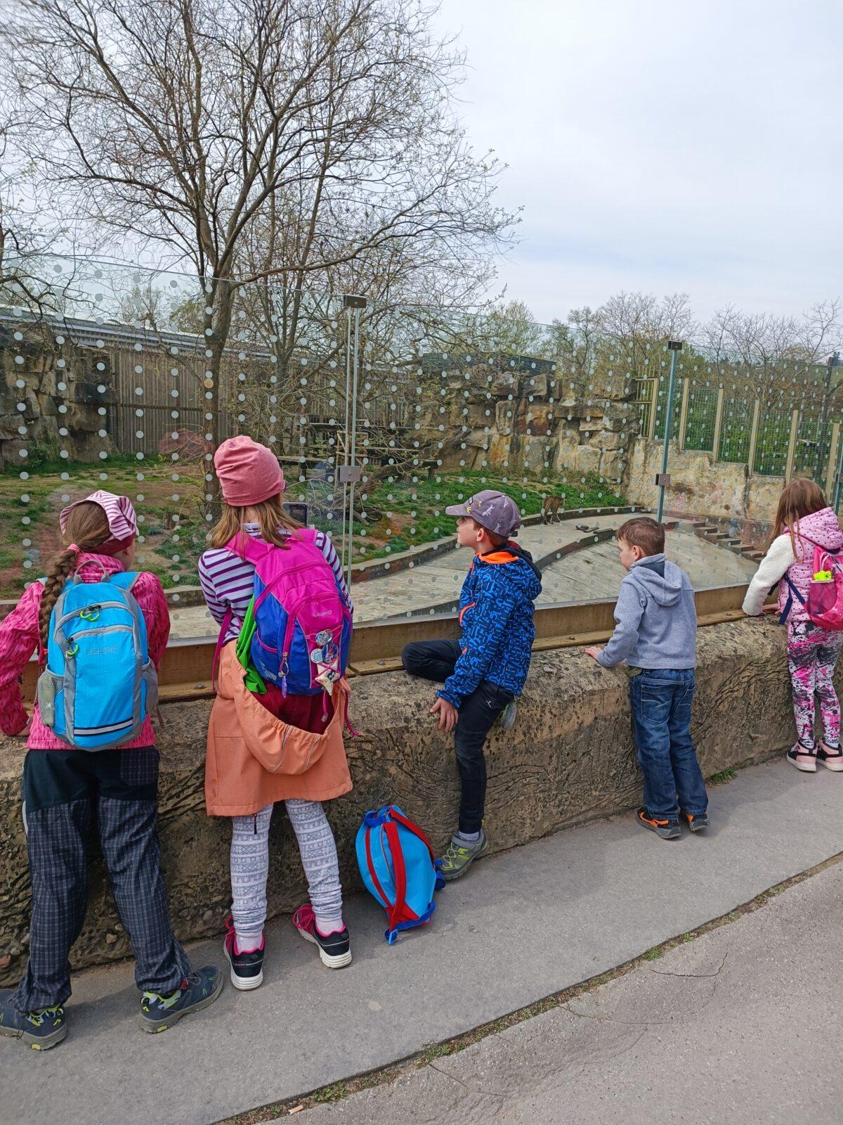 TLAPKY - Praha v ZOO - 45