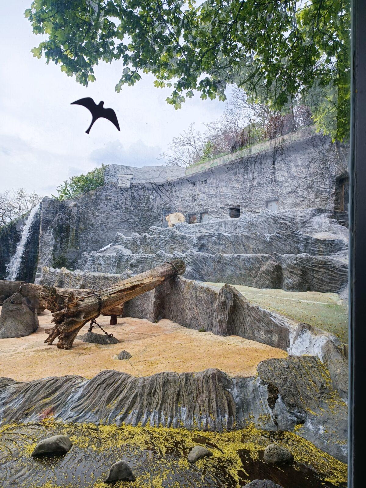 TLAPKY - Praha v ZOO - 54