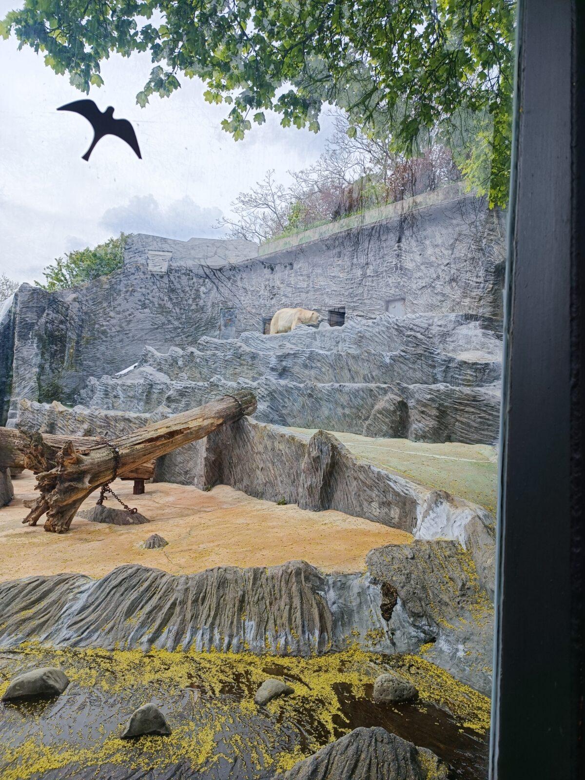 TLAPKY - Praha v ZOO - 55