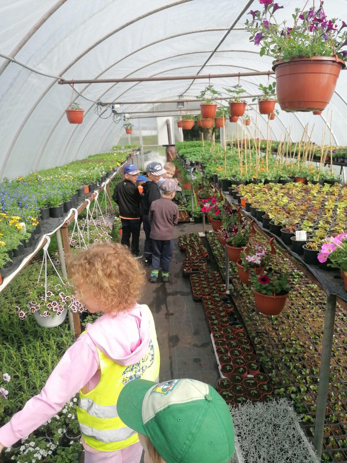 návštěva zahradnictví :-) - 1