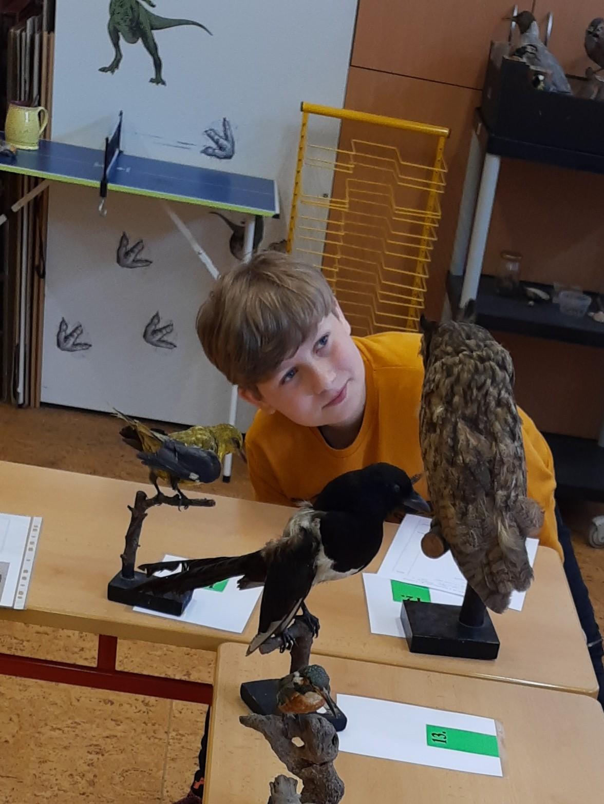 Regionální soutěž "Poznávání přírodnin a minerálů" - II. stupeň - 1