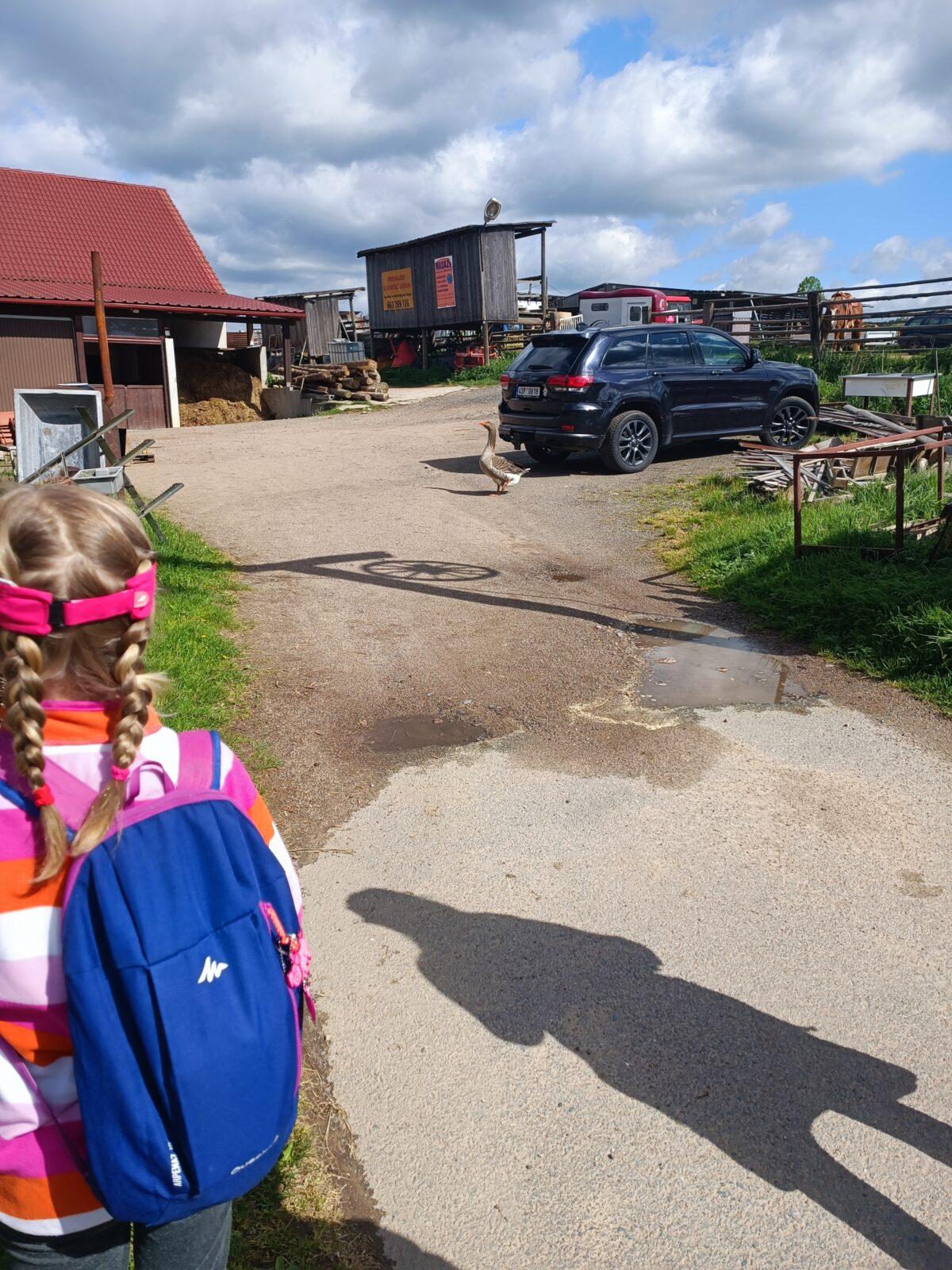 TLAPKY - České Libchavy - 3