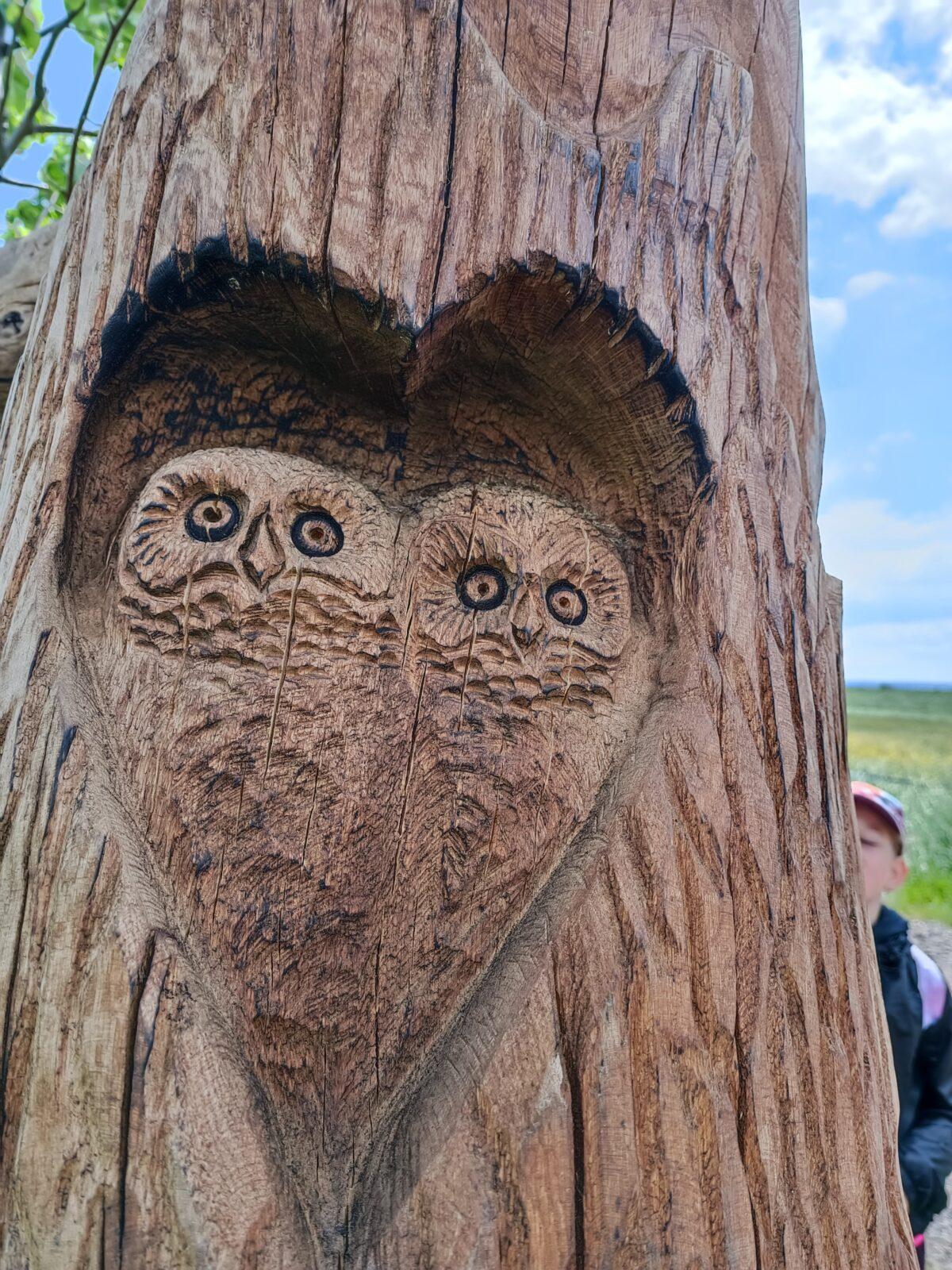 TLAPKY - České Libchavy - 24