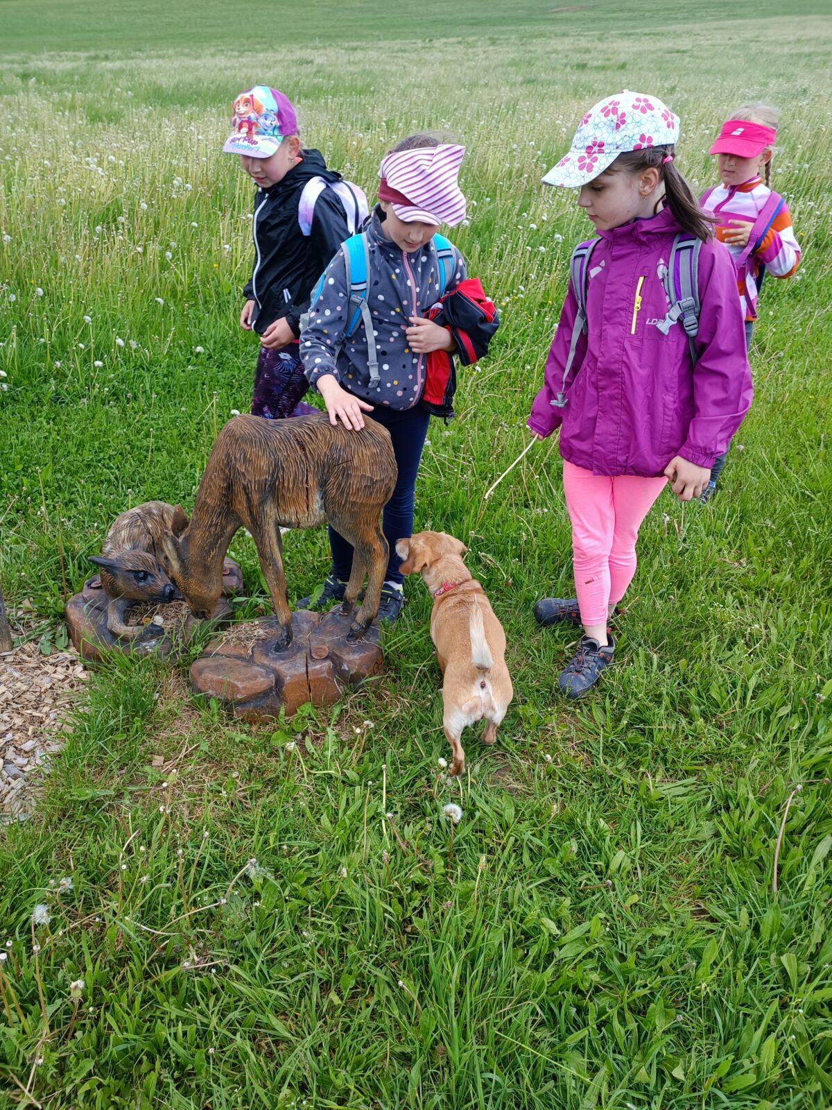 TLAPKY - České  Libchavy - 27