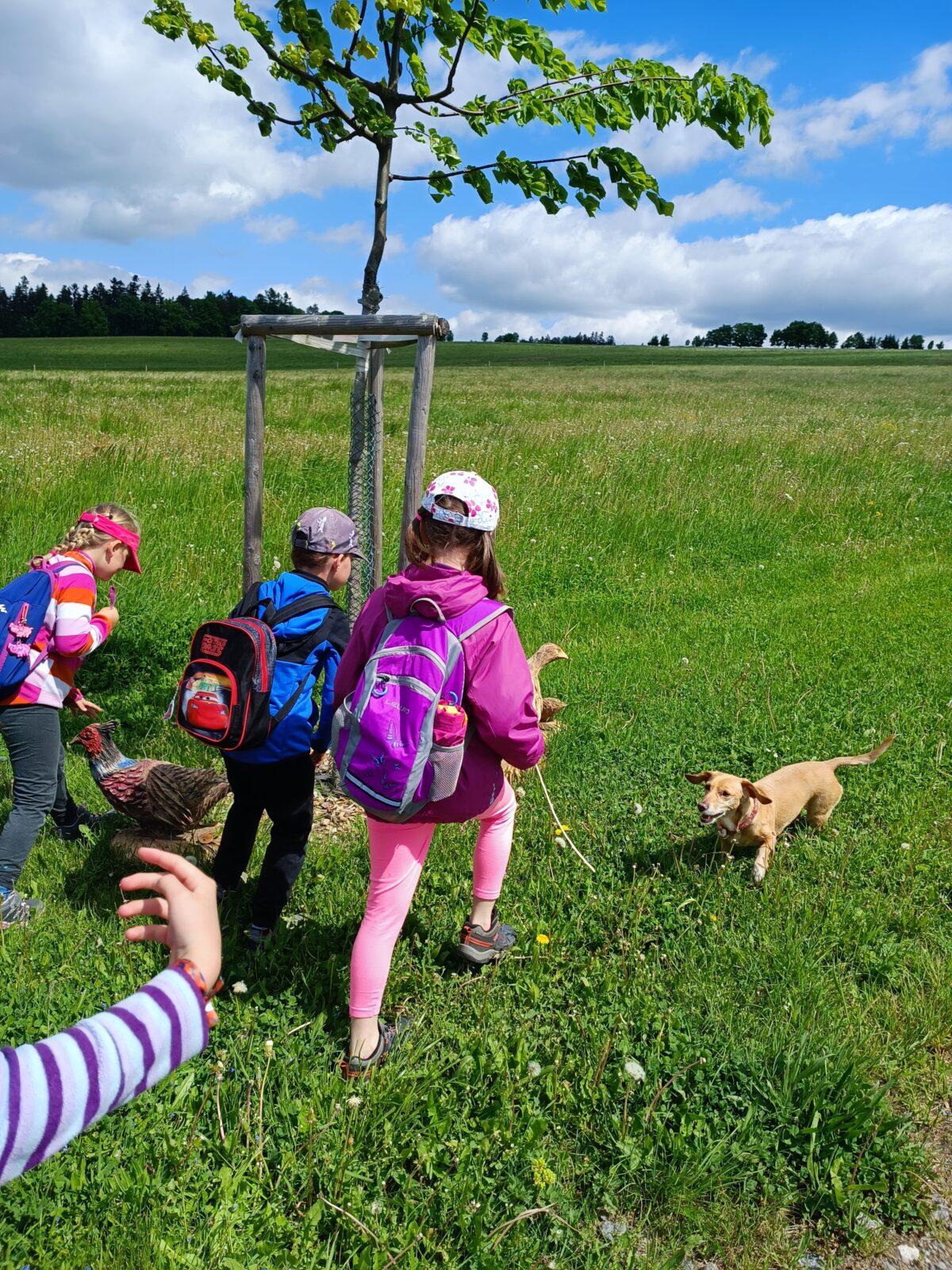 TLAPKY - České Libchavy - 30