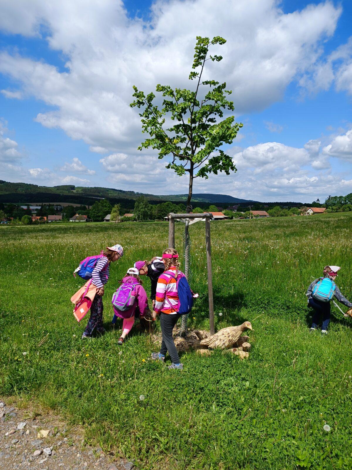 TLAPKY - České Libchavy - 31