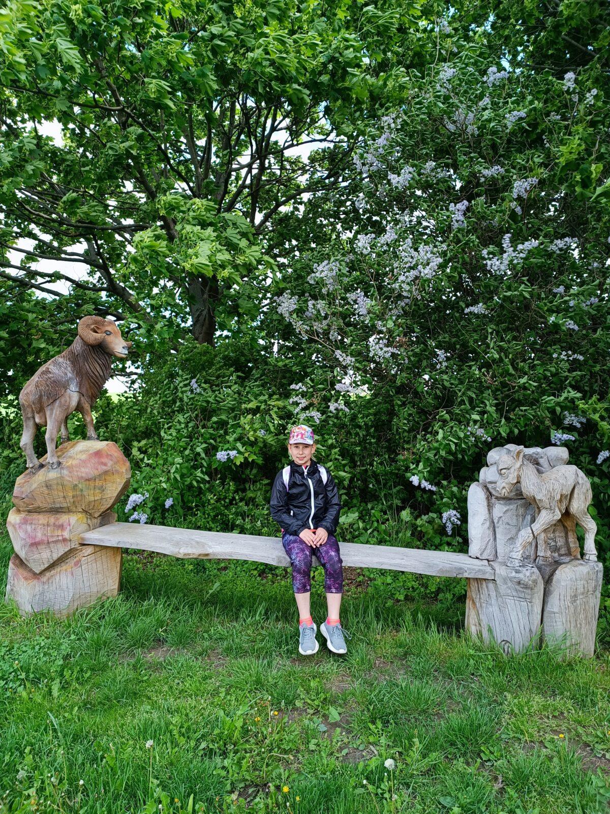 TLAPKY - České Libchavy - 43