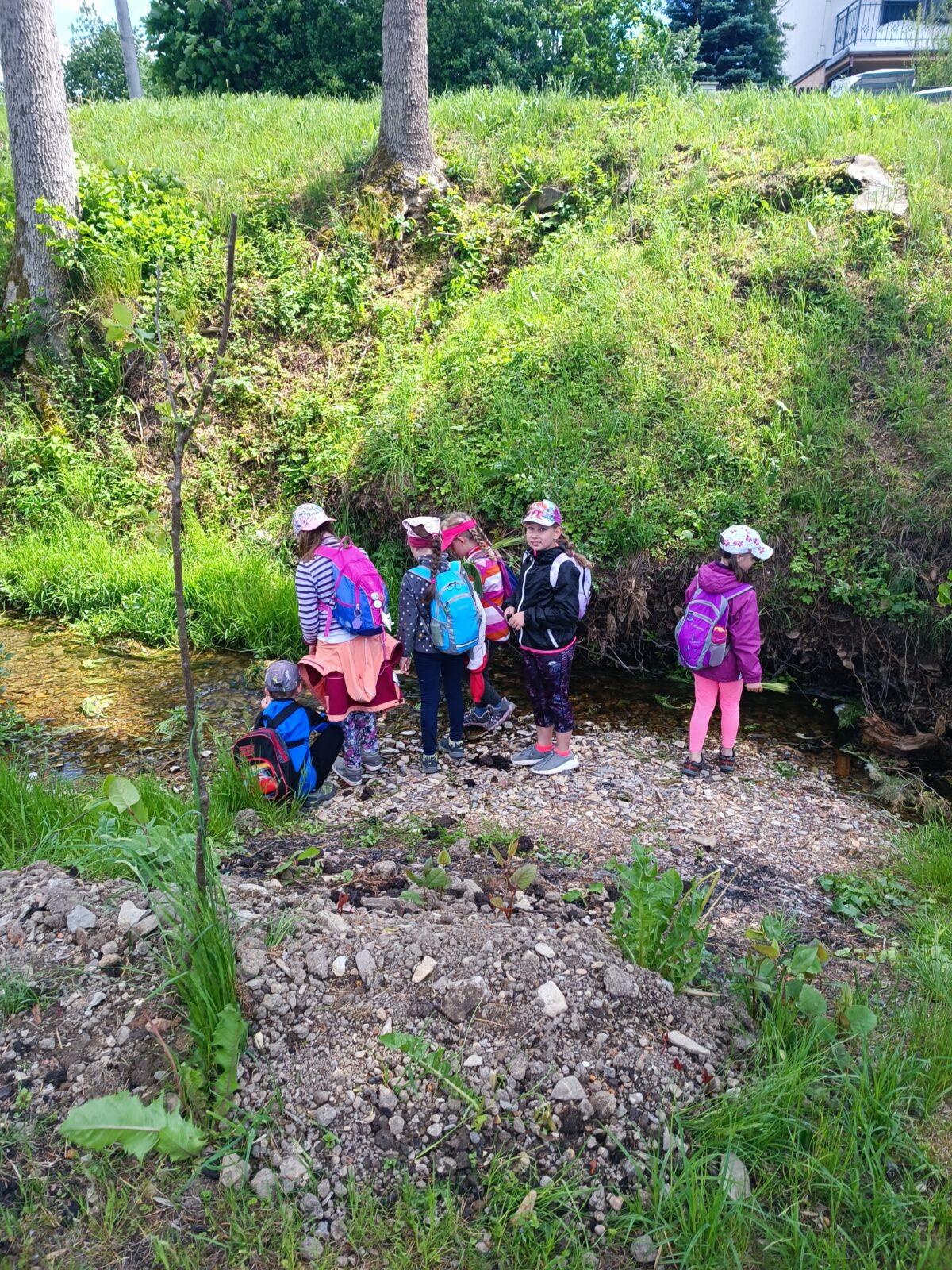 TLAPKY - České Libchavy - 49
