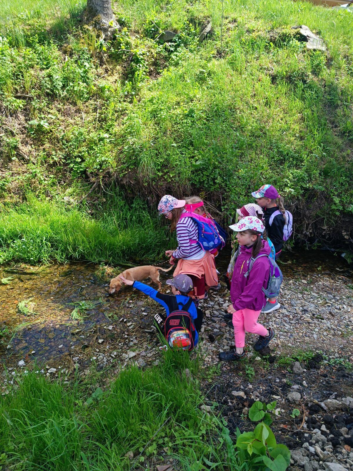 TLAPKY - České Libchavy - 50