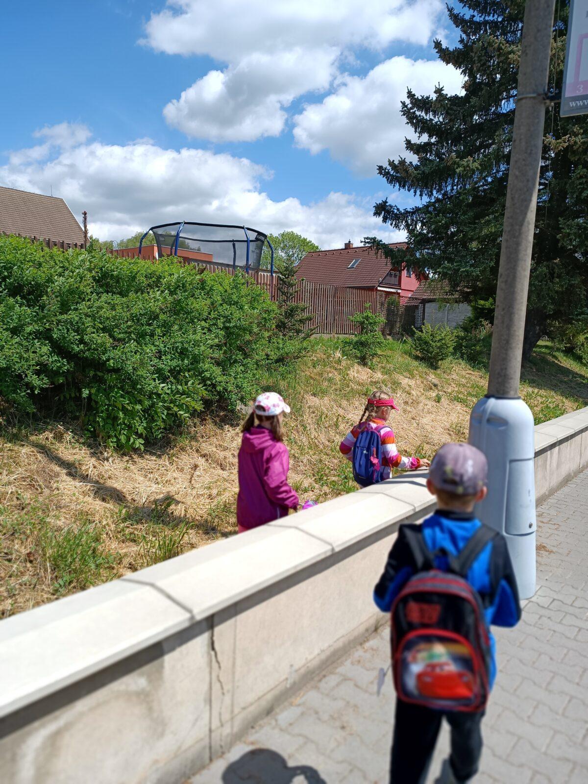 TLAPKY - České  Libchavy - 58