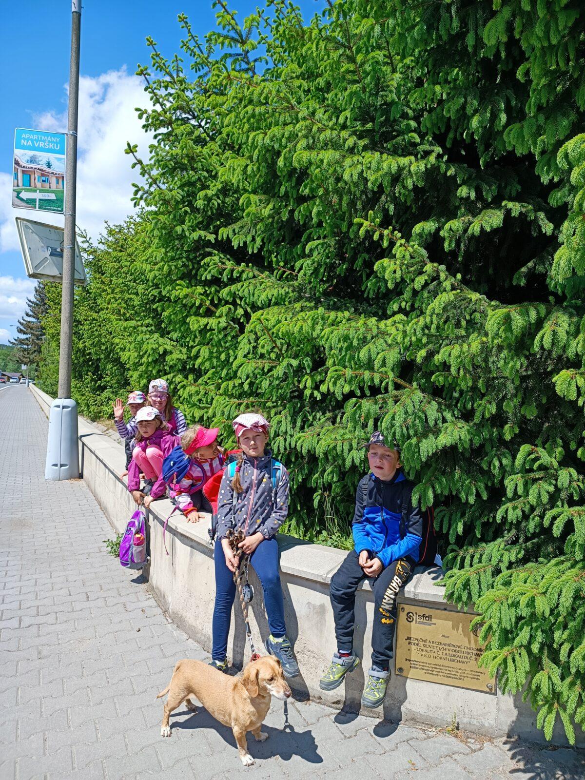 TLAPKY - České Libchavy - 59