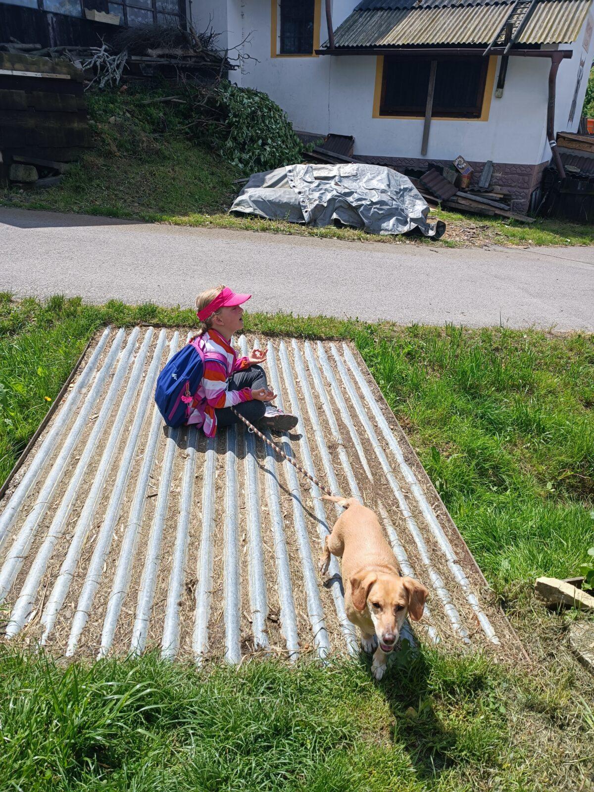 TLAPKY - České Libchavy - 61