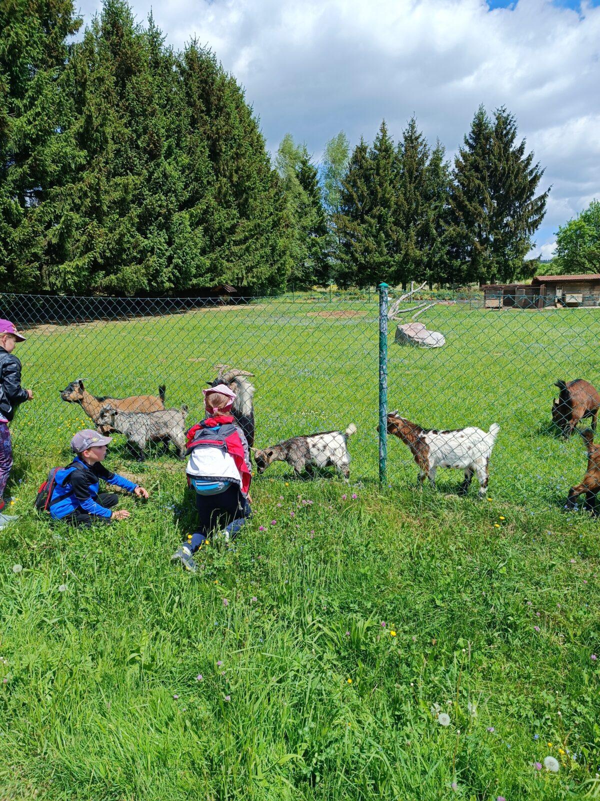 TLAPKY - České  Libchavy - 63