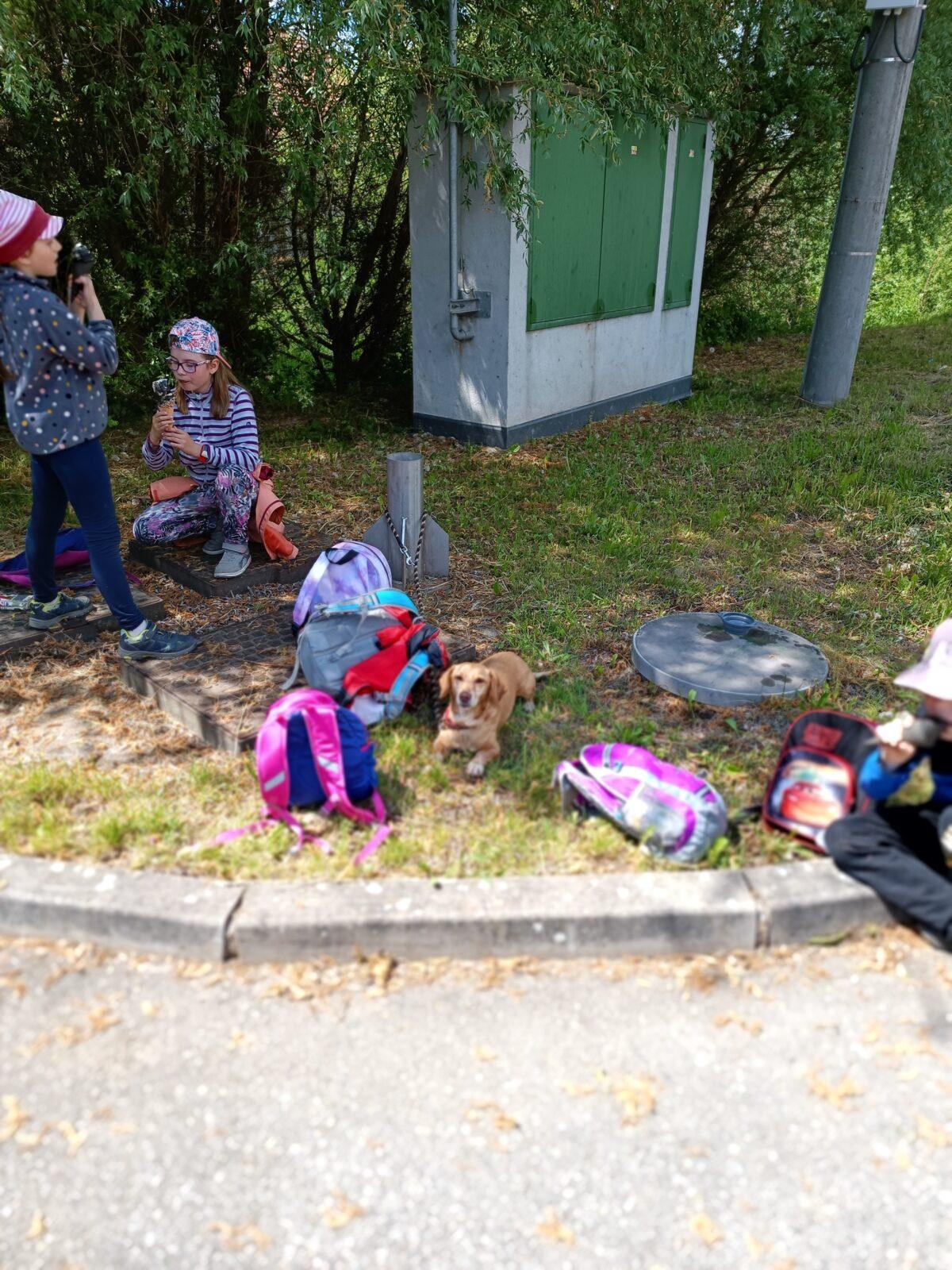 TLAPKY - České Libchavy - 72