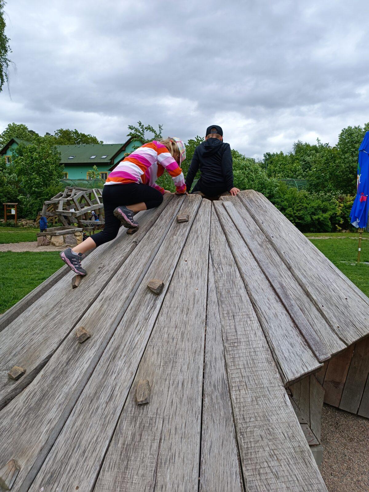 Družinka v Pasíčkách - 11