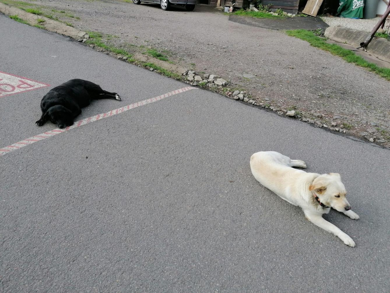 Dětský den :-) - 32