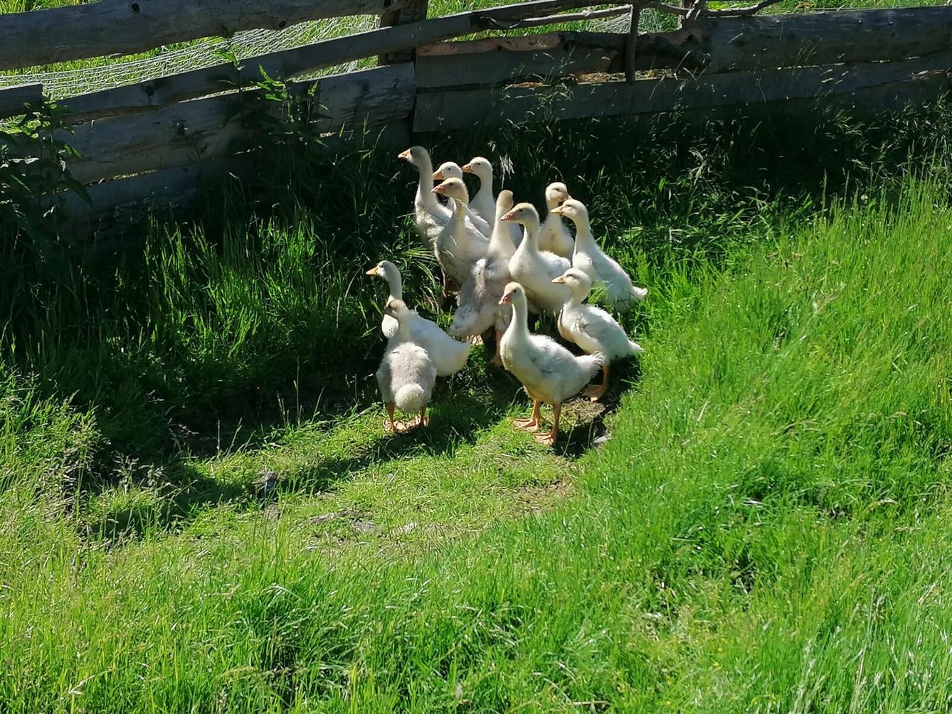 Dětský den :-) - 77